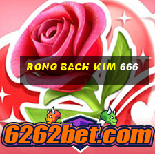 rong bach kim 666