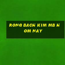 rong bach kim mb hom nay