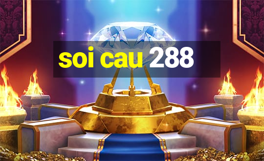 soi cau 288