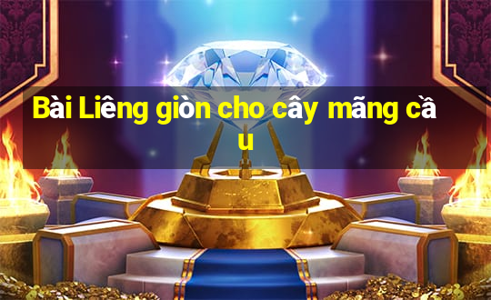 Bài Liêng giòn cho cây mãng cầu