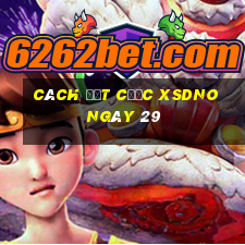 Cách đặt cược XSDNO ngày 29