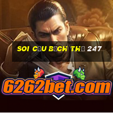 soi cầu bạch thủ 247