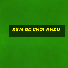 xem ga choi nhau