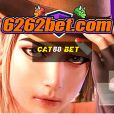 Cat88 Bet