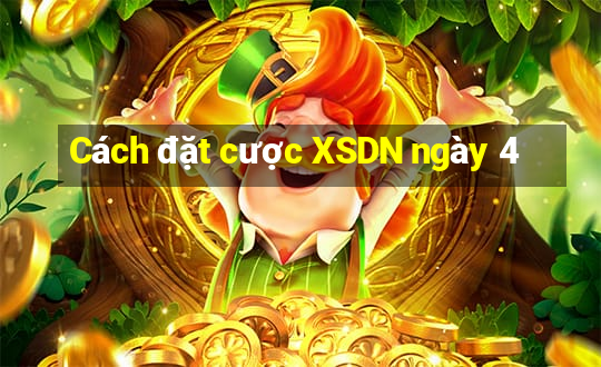 Cách đặt cược XSDN ngày 4