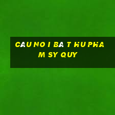 câu no i bâ t hu pha m sy quy