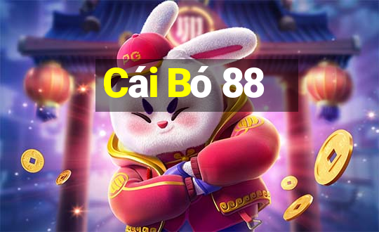 Cái Bó 88