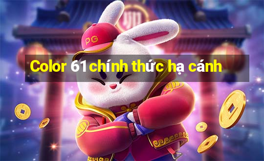 Color 61 chính thức hạ cánh