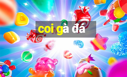 coi gà đá