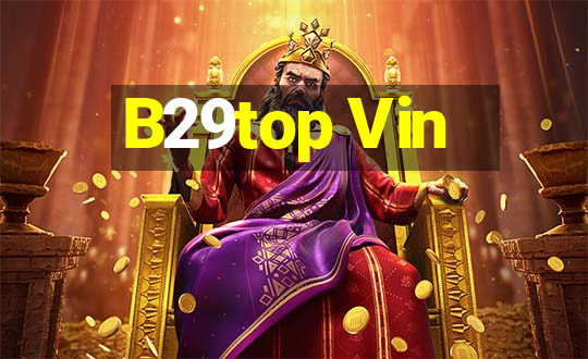 B29top Vin