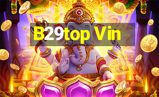 B29top Vin