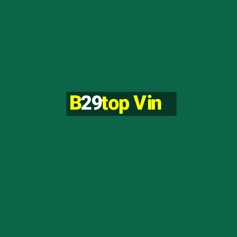 B29top Vin