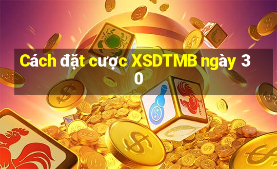 Cách đặt cược XSDTMB ngày 30