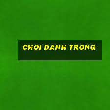 choi danh trong