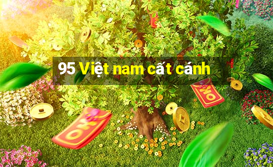 95 Việt nam cất cánh