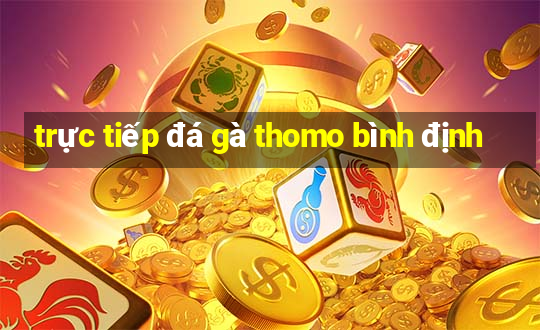 trực tiếp đá gà thomo bình định