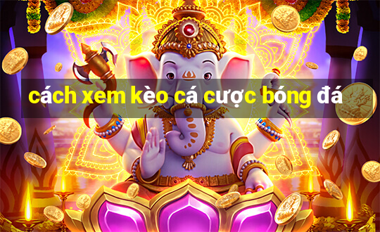 cách xem kèo cá cược bóng đá