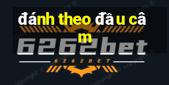 danh theo dau cam