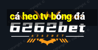 cá heo tv bóng đá