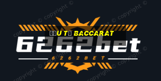 đầu tư baccarat