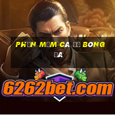 phần mềm cá độ bóng đá