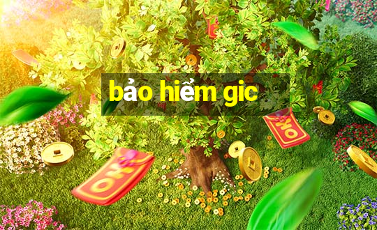 bảo hiểm gic