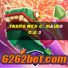 trang wed cũ màuBò của 3