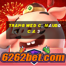 trang wed cũ màuBò của 3