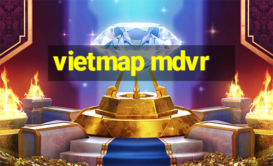 vietmap mdvr