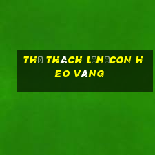 Thử Thách Lớn・Con Heo Vàng