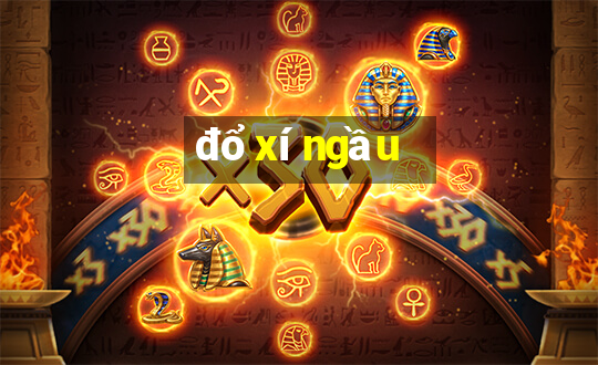 đổ xí ngầu