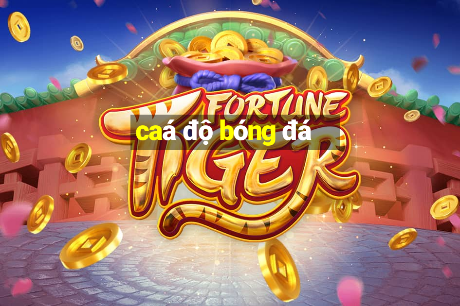 caá độ bóng đá