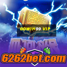 Gowin99 Vip