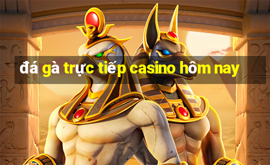 đá gà trực tiếp casino hôm nay