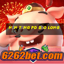 Nền tảng pd Bảo Long