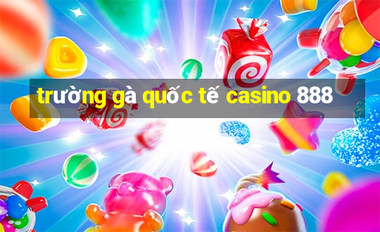 trường gà quốc tế casino 888