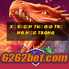 xổ số cần thơ gạo trắng nước trong