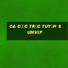 Cá cược trực tuyến Sumvip