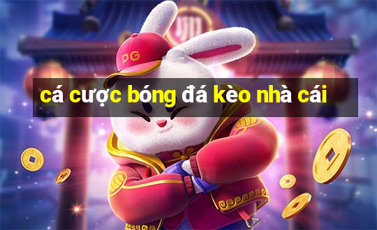 cá cược bóng đá kèo nhà cái