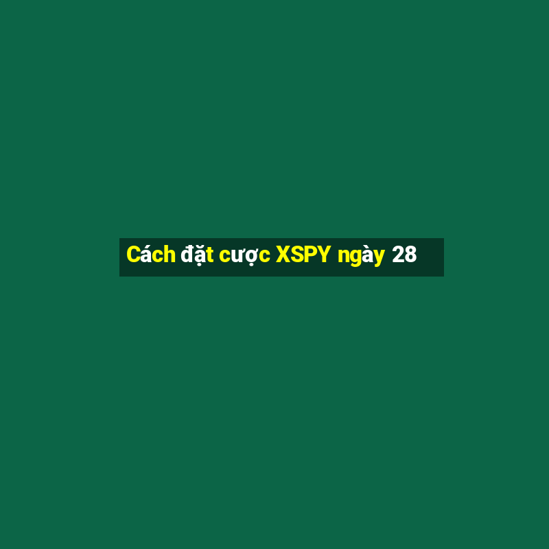 Cách đặt cược XSPY ngày 28