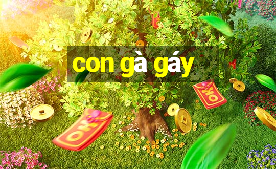 con gà gáy