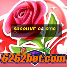 socolive cá cược