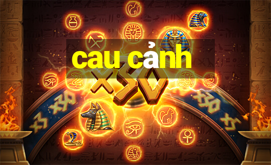 cau cảnh