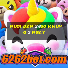 nuoi dan 20so khung 3 ngay