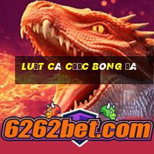 luật cá cược bóng đá