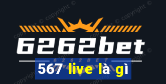 567 live là gì