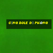 Cổng Bole dự phòng