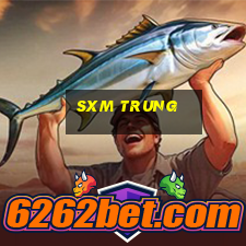 sxm trung