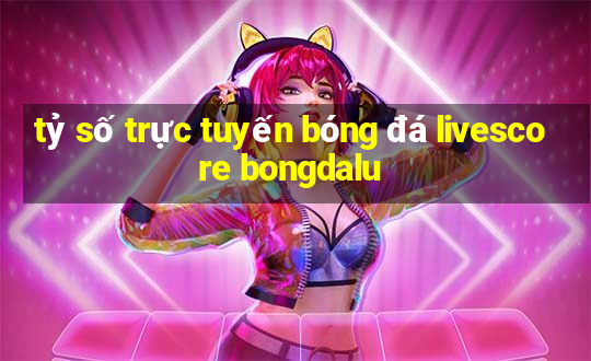 tỷ số trực tuyến bóng đá livescore bongdalu