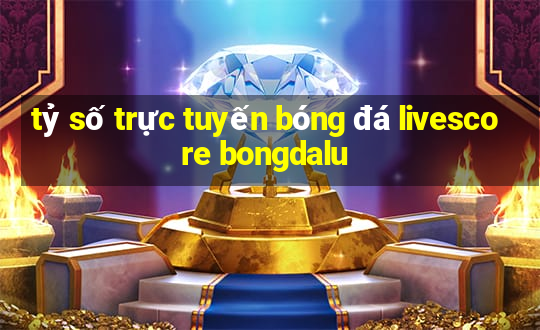 tỷ số trực tuyến bóng đá livescore bongdalu